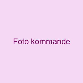 Nyheter